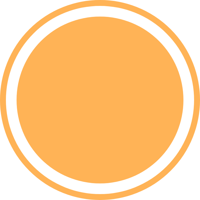 Orange circle with orange circle within it